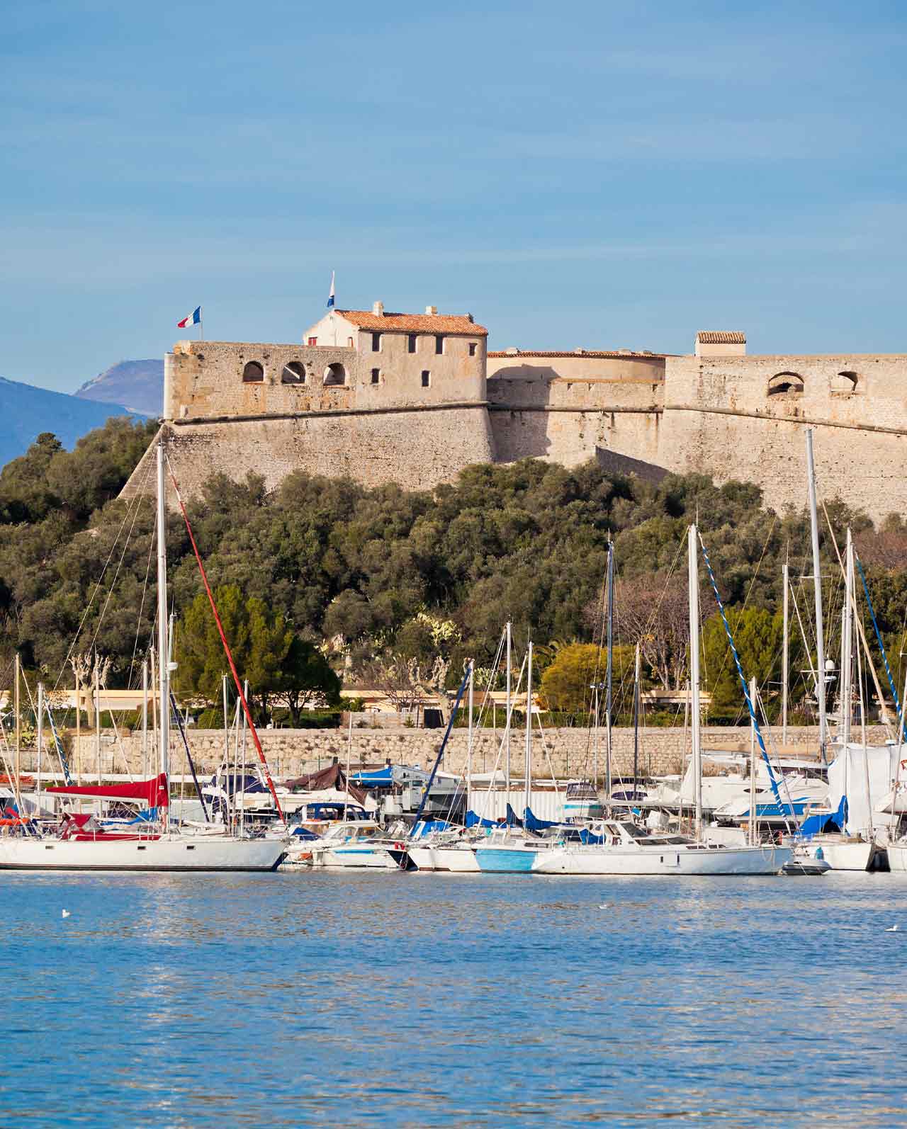 test-visuel-article-content